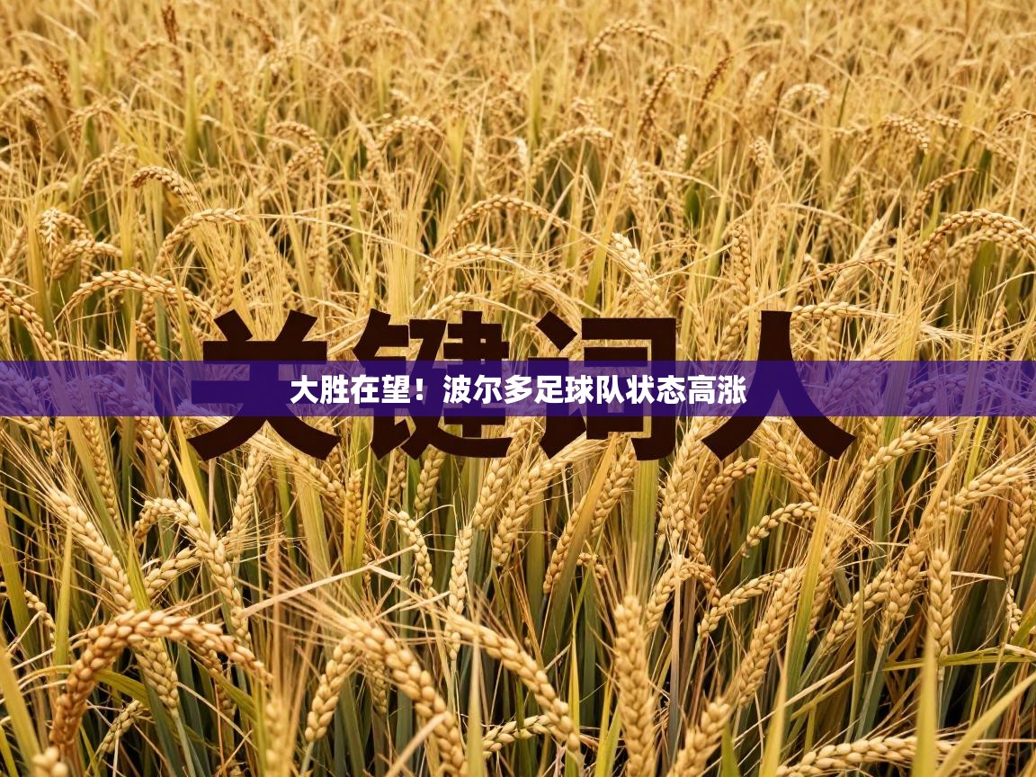 大胜在望！波尔多足球队状态高涨