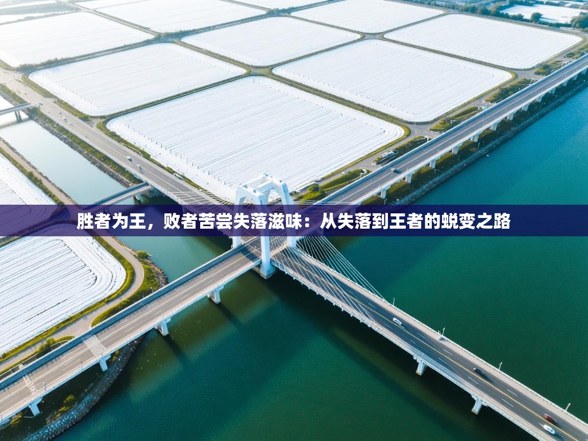 胜者为王，败者苦尝失落滋味：从失落到王者的蜕变之路
