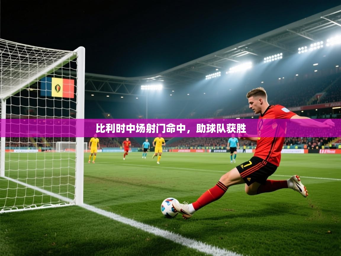 比利时中场射门命中，助球队获胜  第2张